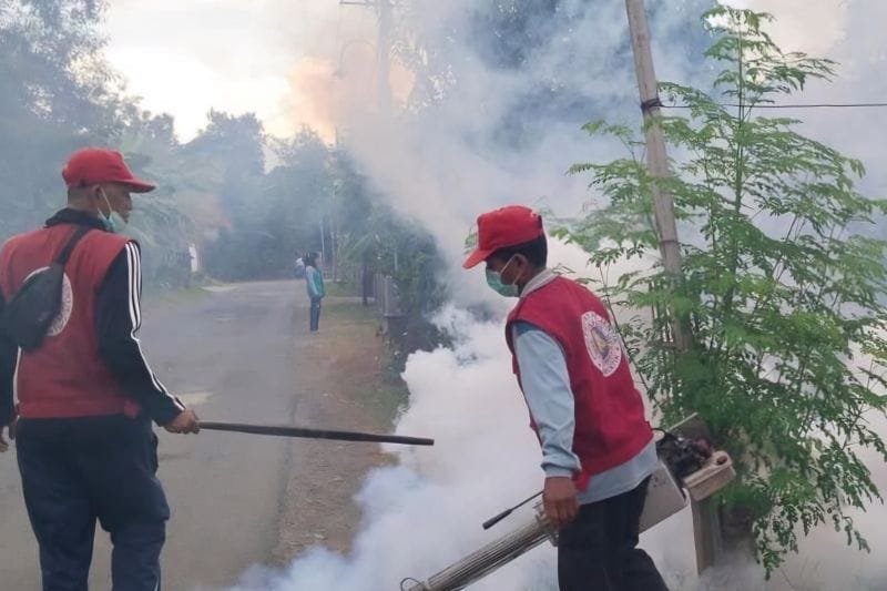 mengantisipasi  lonjakan kasus DBD 