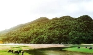 Pantai Kebo Kecamatan Munjungan Kabupaten Trenggalek