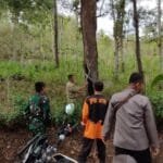 Polisi Indendifikasi Pohon Rapuh