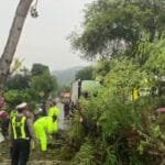 Pohon tumbang menutup ruas jalan nasional Trenggalek-Ponorogo