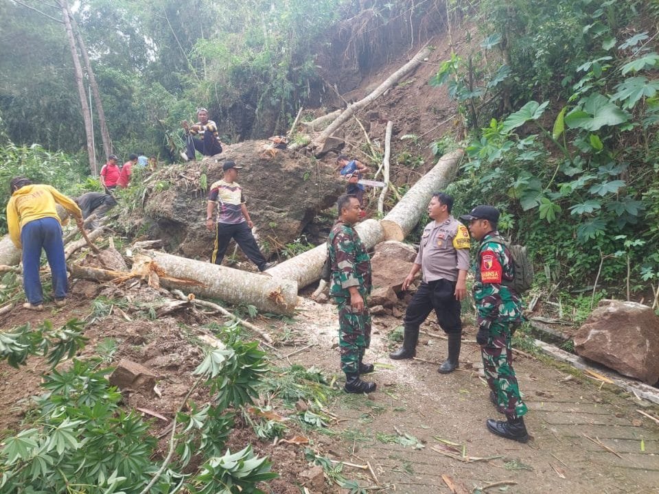 Tanah Longsor Serta Pohon Tumbang Ei Wonokerto Suruh